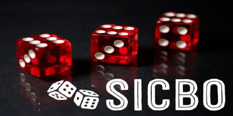 Hiểu Về Các Loại Cược Trong Sicbo